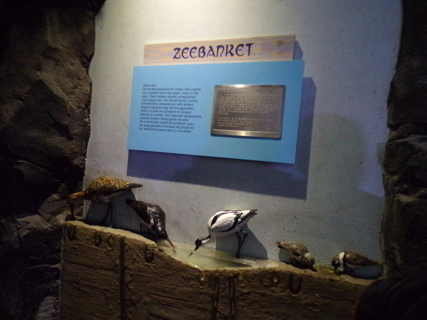 Oceanium- interesting bird signage 13.7.23