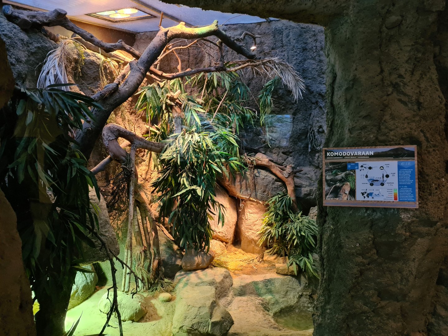 Oceanium - Juvenile Komodo dragon enclosure in Conservation centre