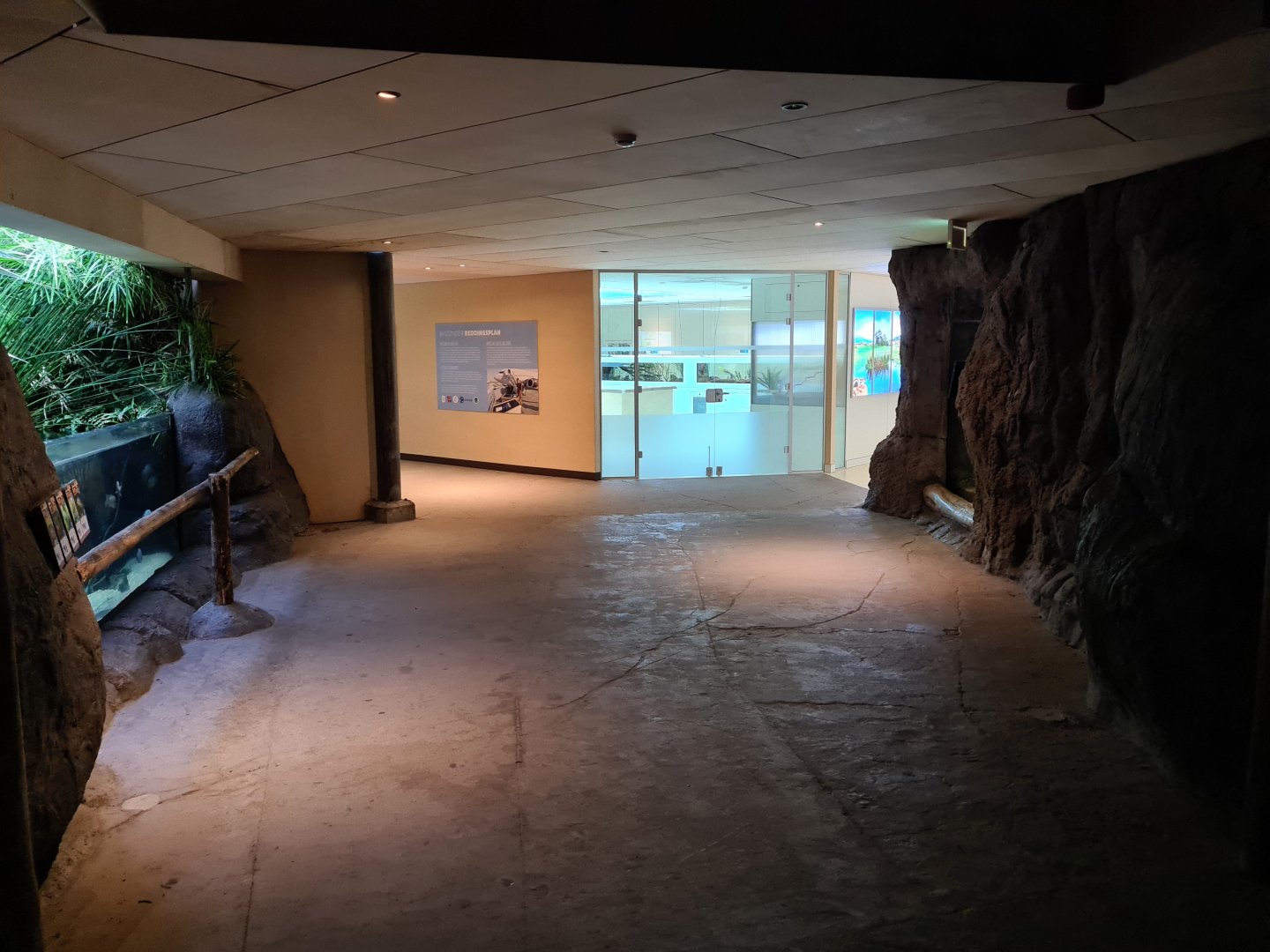 Oceanium - Looking back at Conservation centre