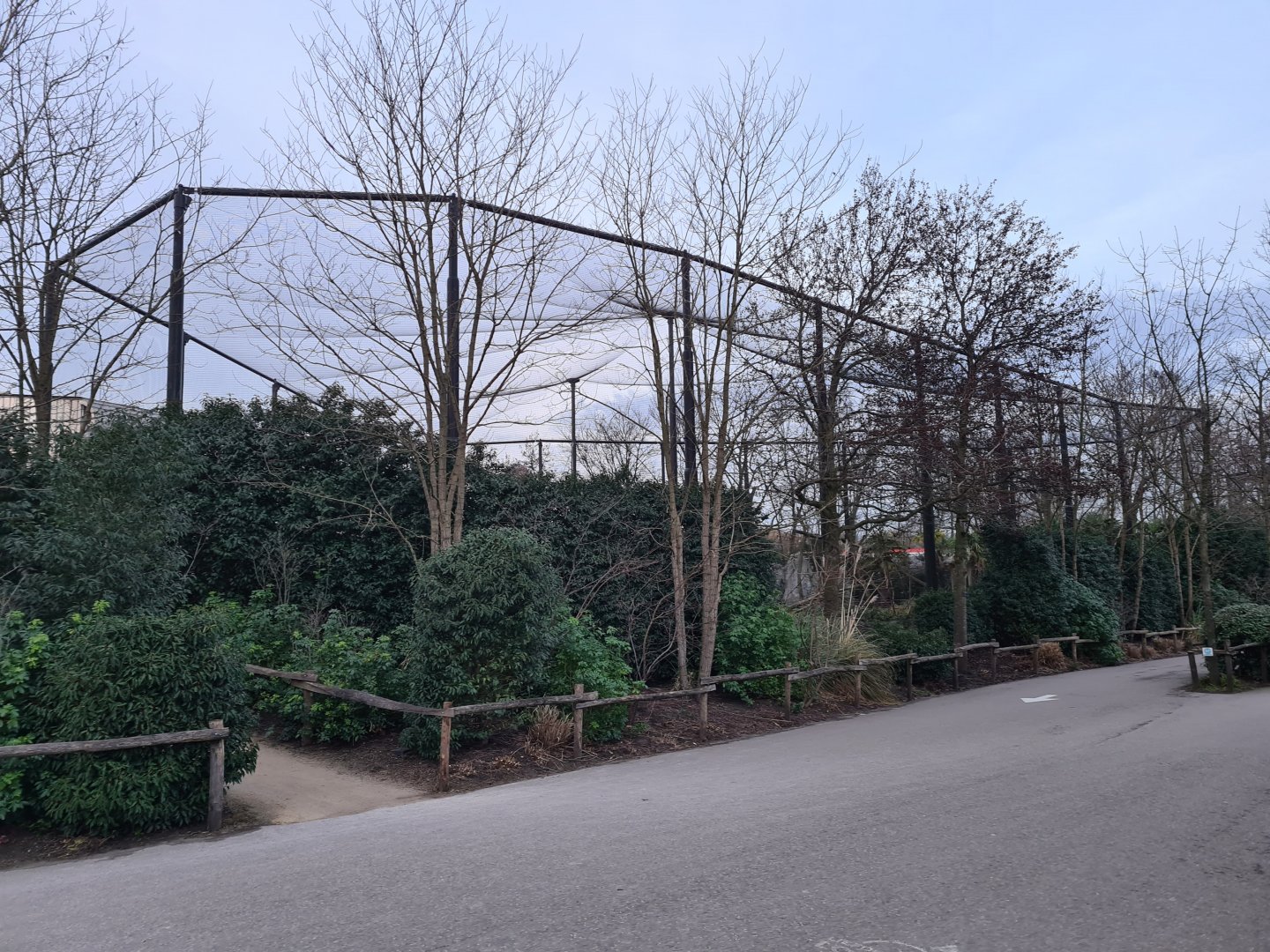 Oceanium - Madagascar aviary (Ring-tailed lemur and Helmeted guineafowl)