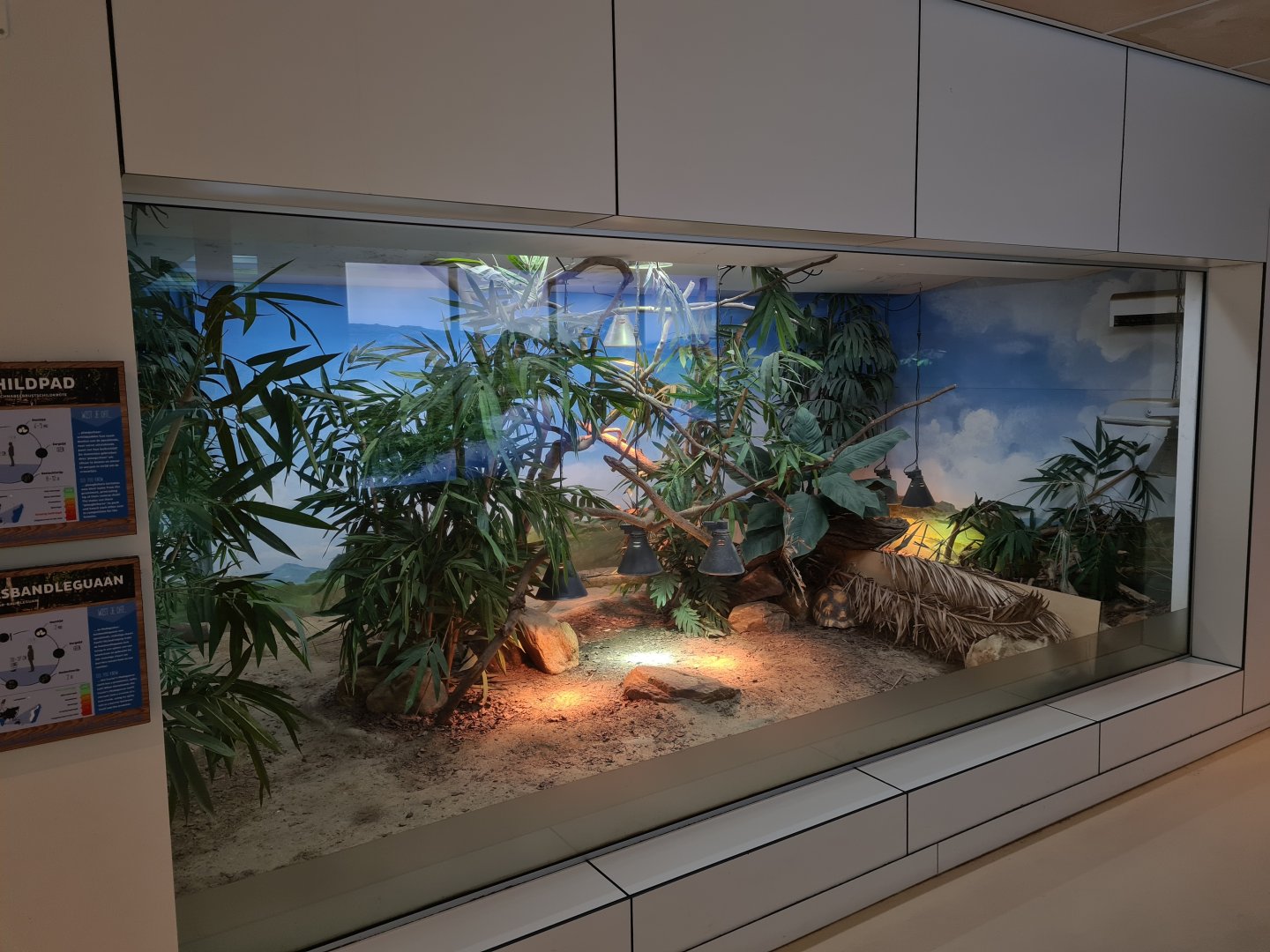 Oceanium - Madagascar terrarium in Conservation centre