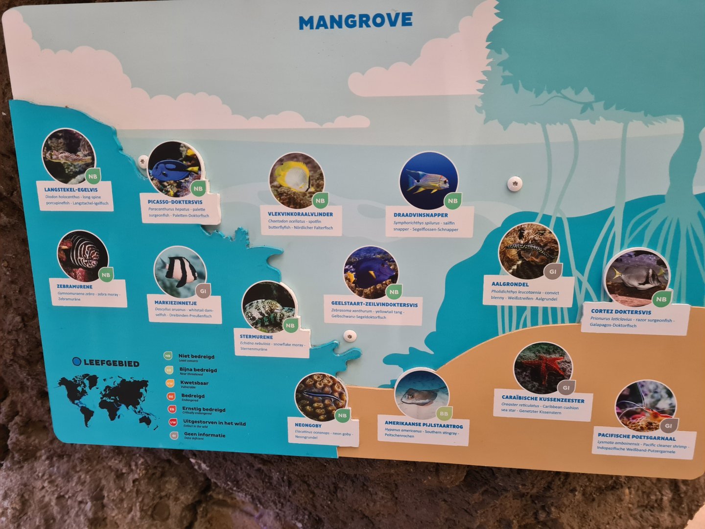 Oceanium - Mangrove aquarium signage