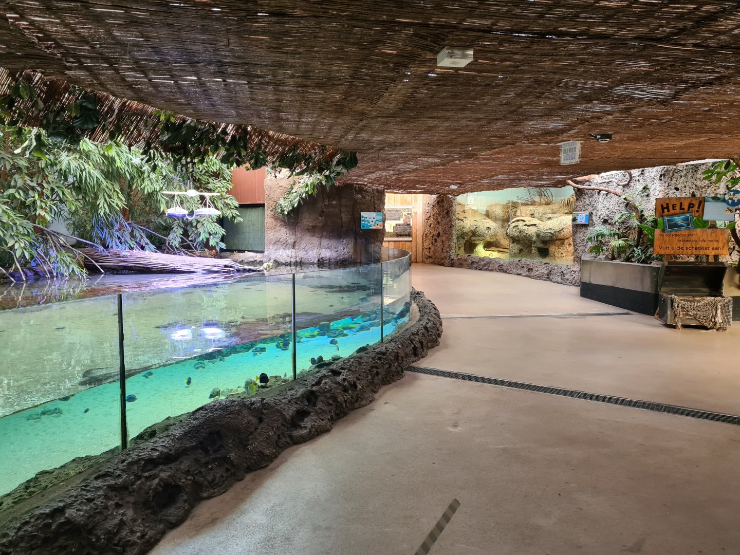 Oceanium - Mangrove aquarium