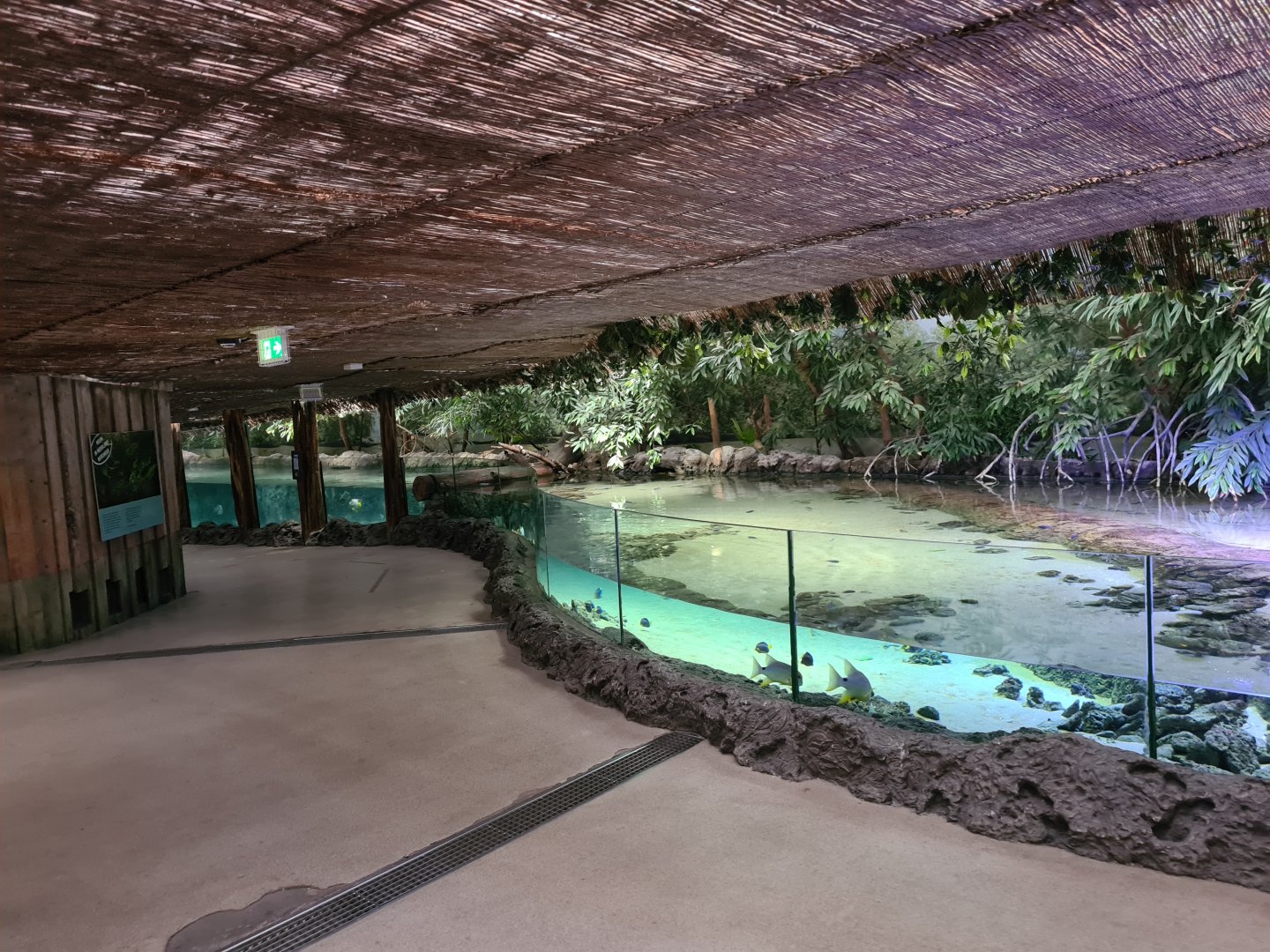 Oceanium - Mangrove aquarium