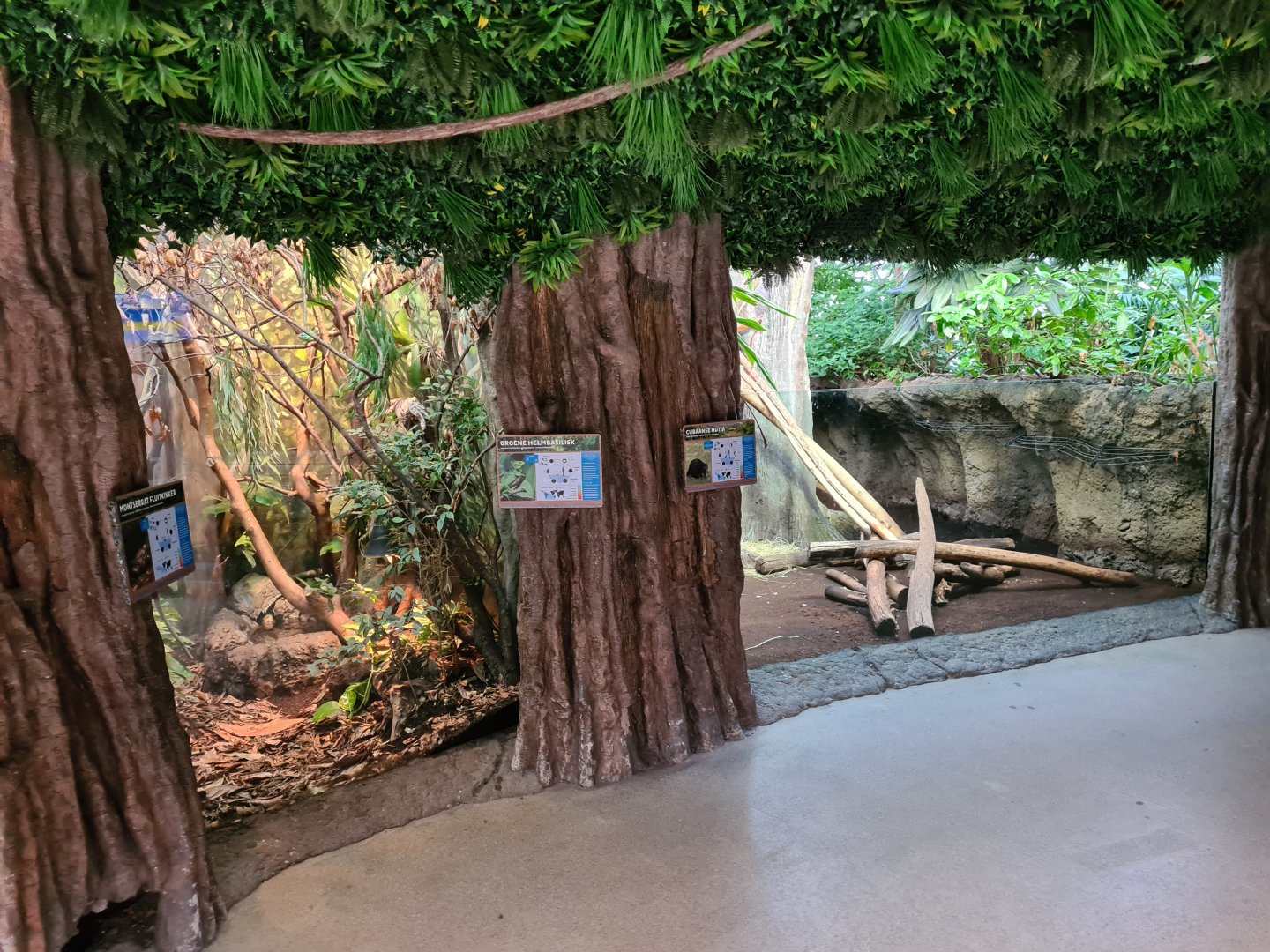 Oceanium - Mountain chicken and Green basilisk (left) and Cuban hutia (right) enclosures