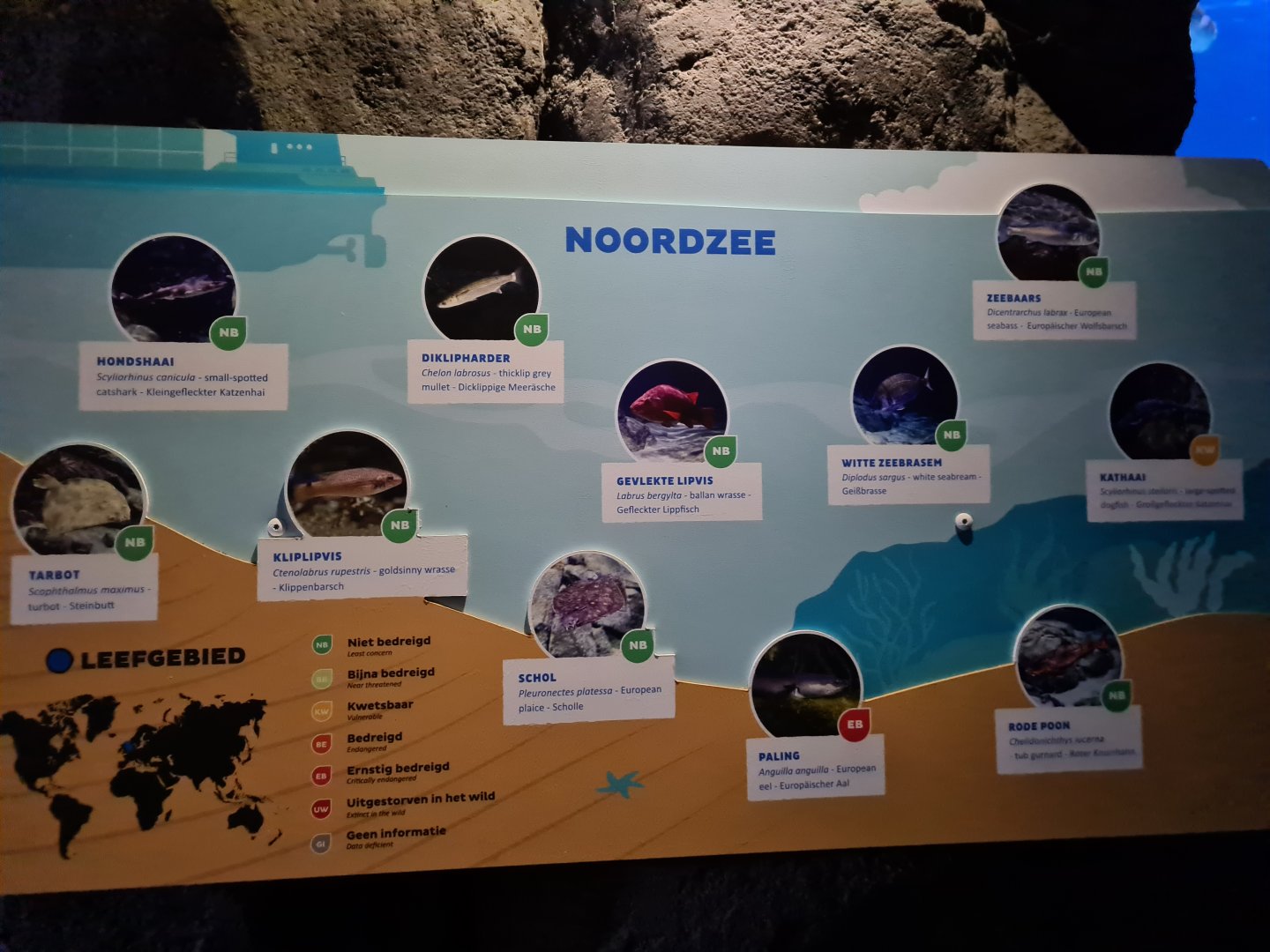 Oceanium - North Sea aquarium signage