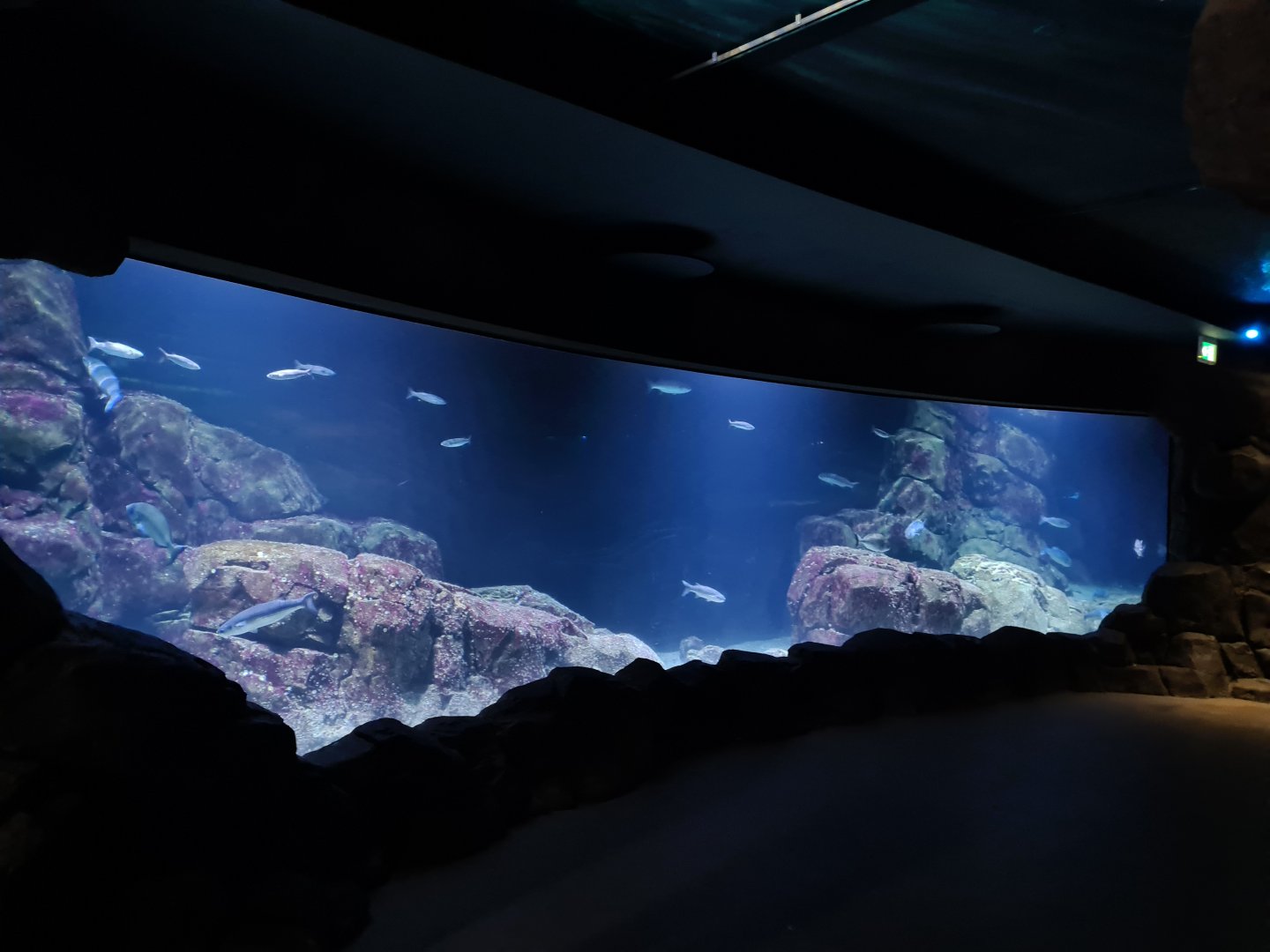 Oceanium - North Sea Aquarium