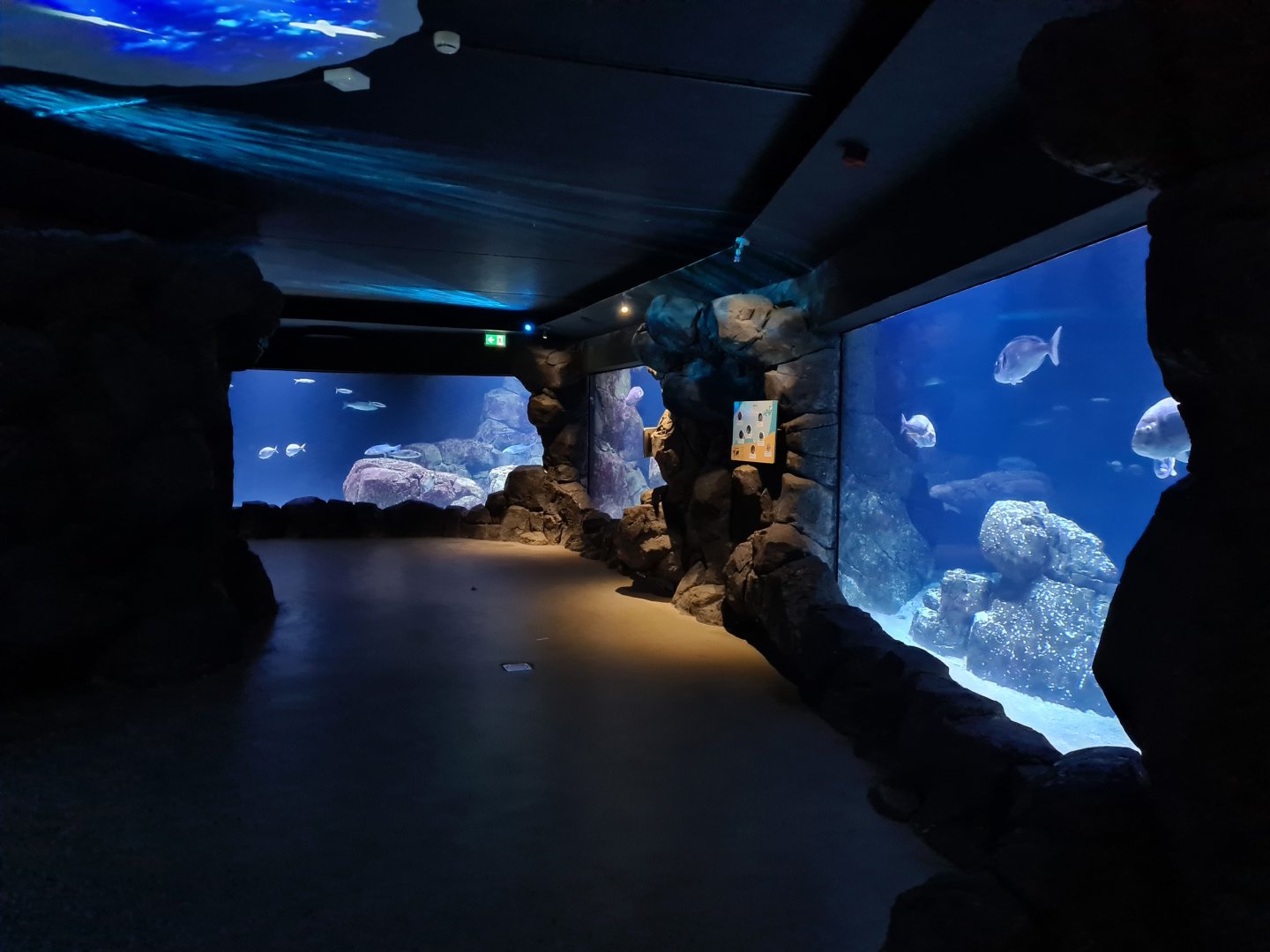 Oceanium - North sea area