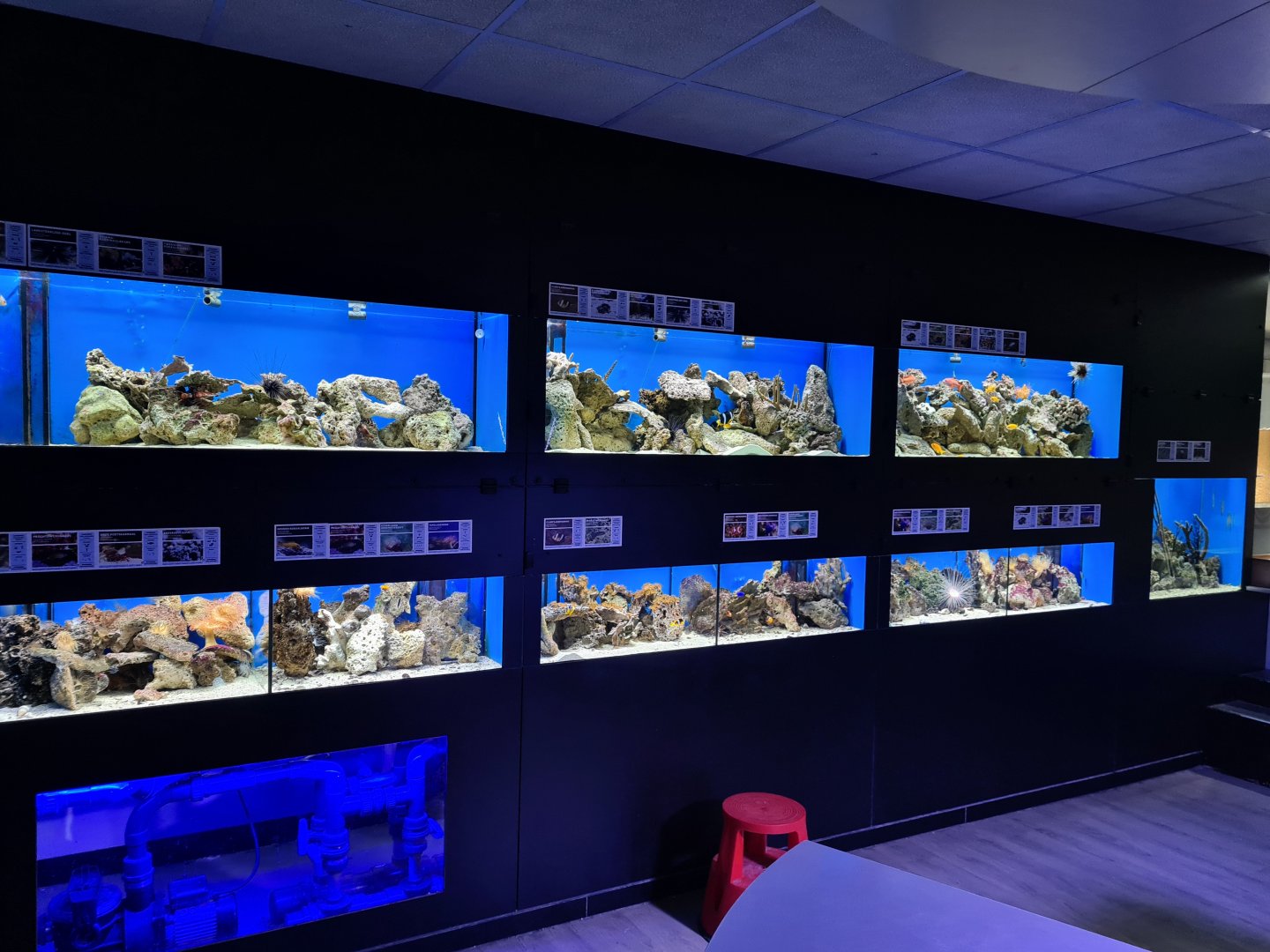 Oceanium - Ocean lab tanks