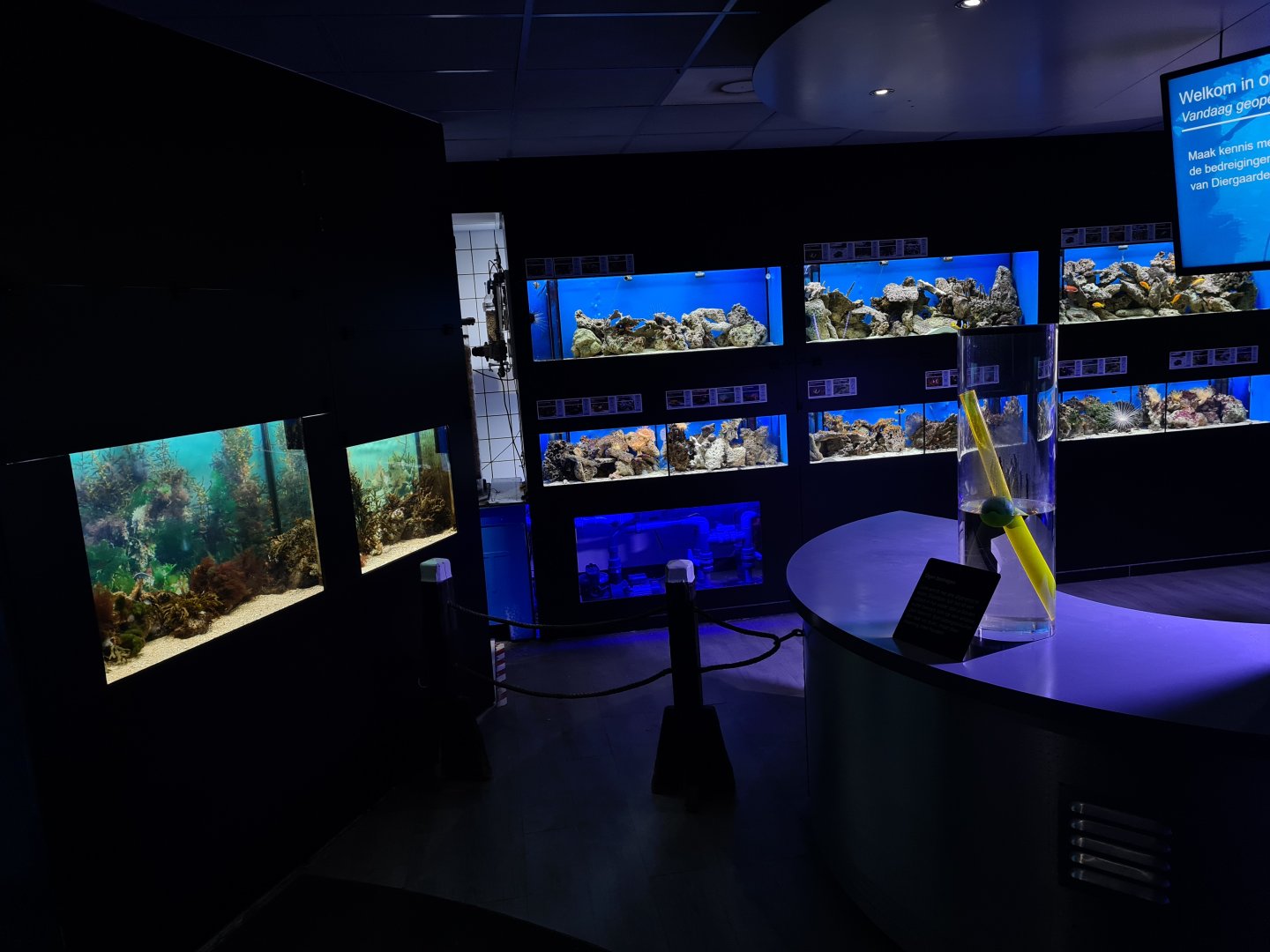 Oceanium - Ocean lab tanks