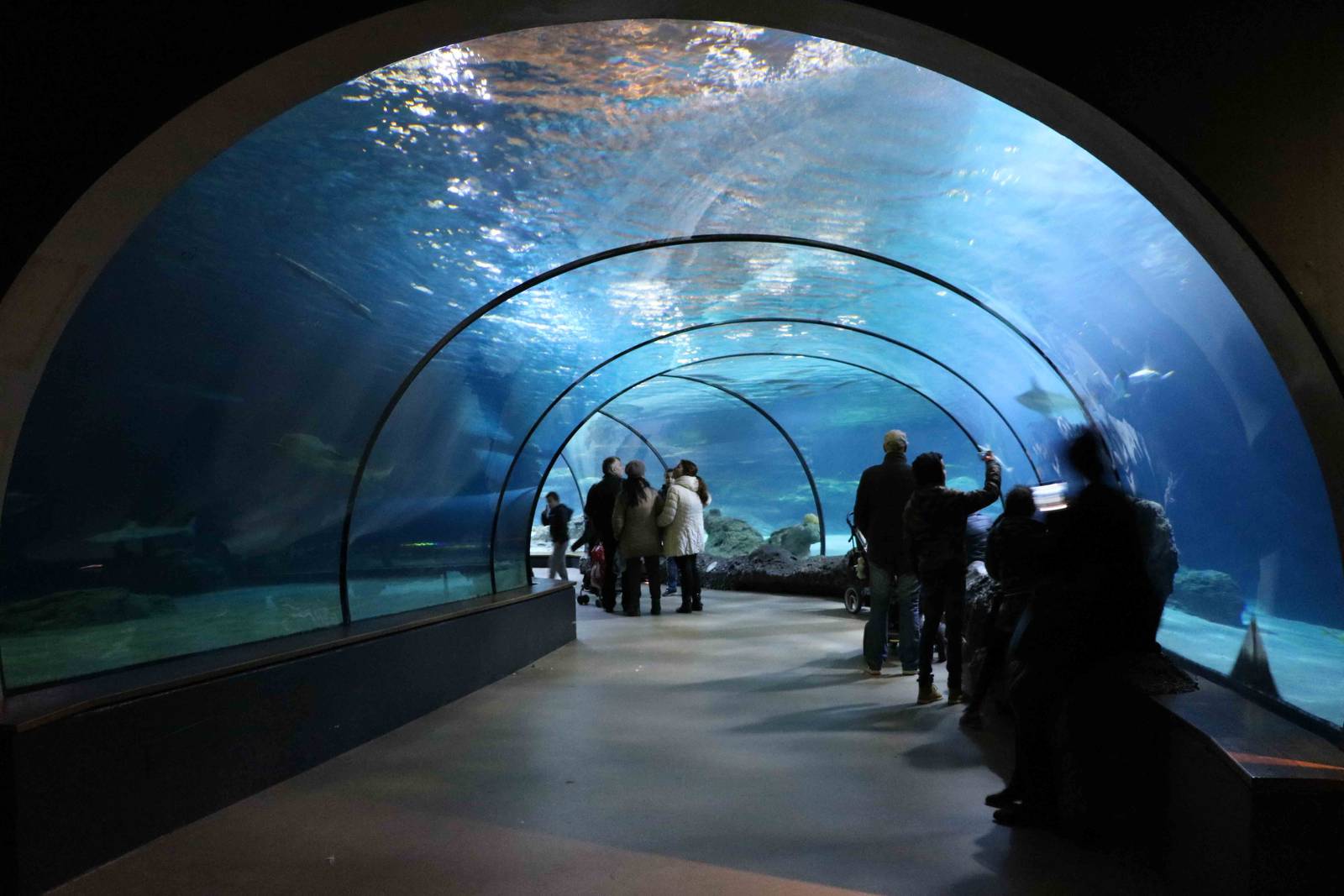 Oceanium ocean tunnel, February 2016