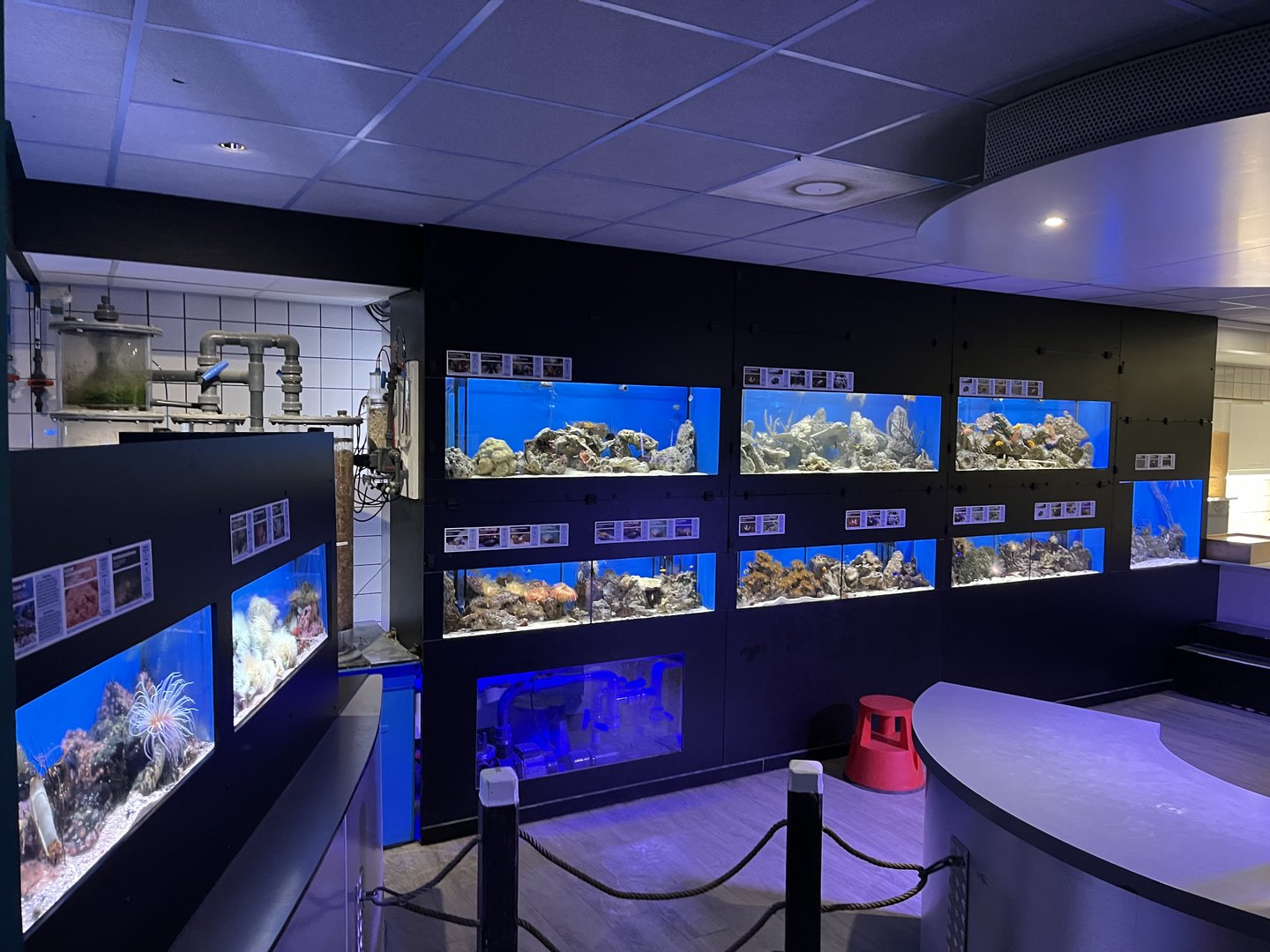 Oceanium- Research area 13.7.23