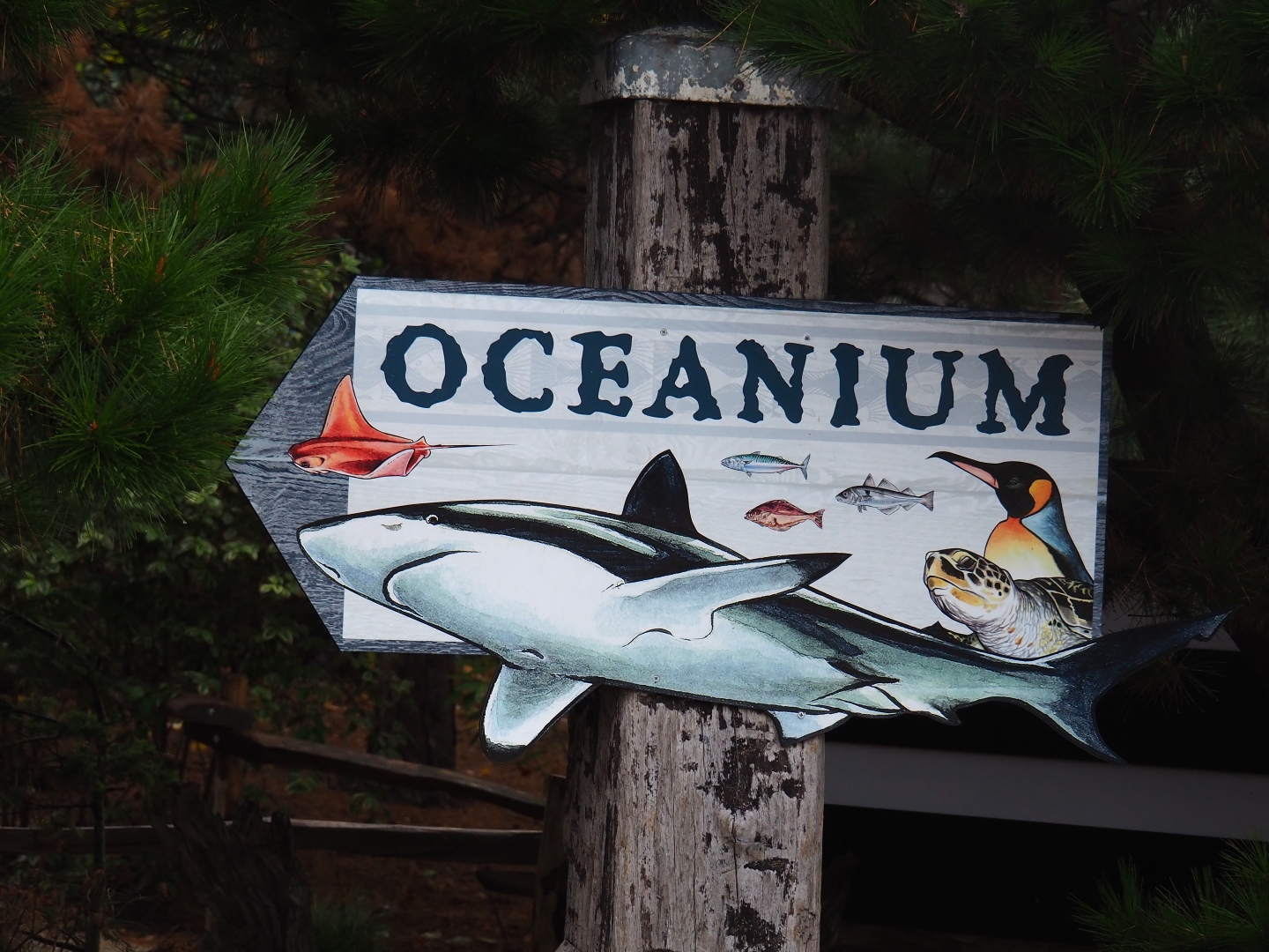 Oceanium road sign (Nov 10th, 2018)