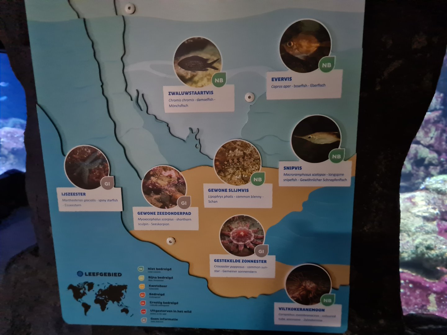 Oceanium - Rock cliff aquarium signage