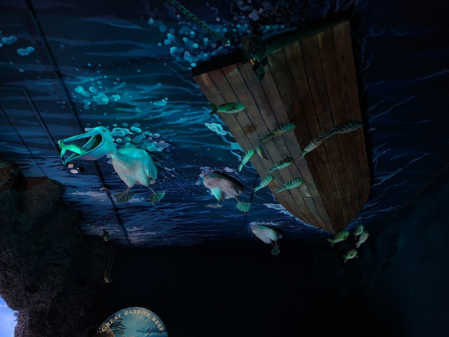 Oceanium - Roof near reef area