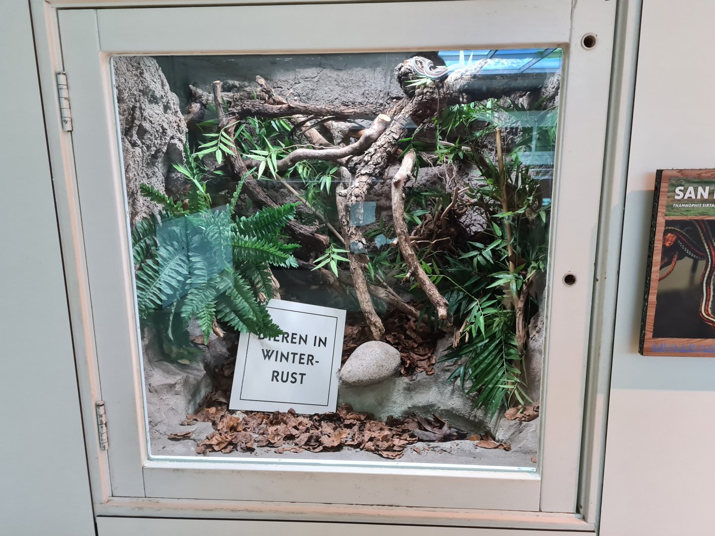 Oceanium - San Francisco garter snake enclosure in Conservation centre