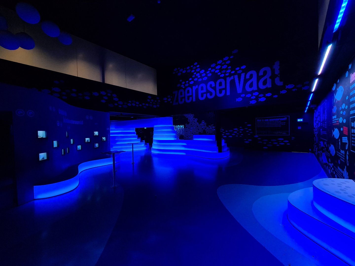 Oceanium - Sea reserve room