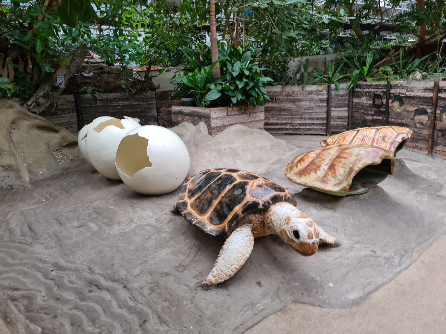 Oceanium - Sea turtle play area