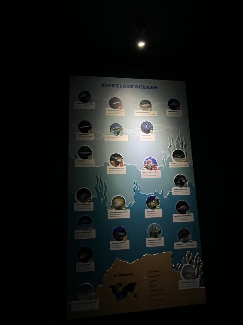 Oceanium- Signage example 13.7.23