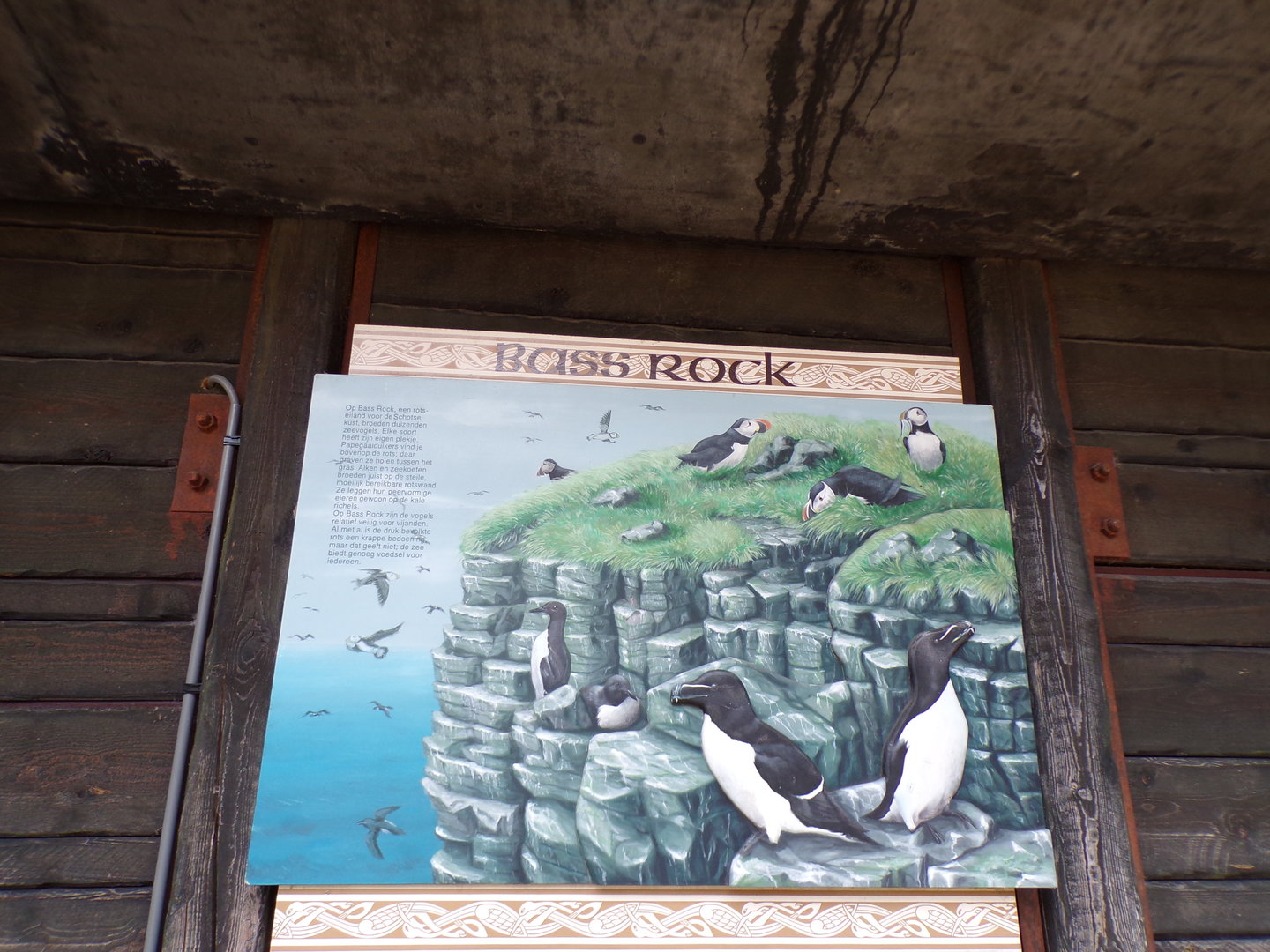 Oceanium- Signage on Bass rock 13.7.23