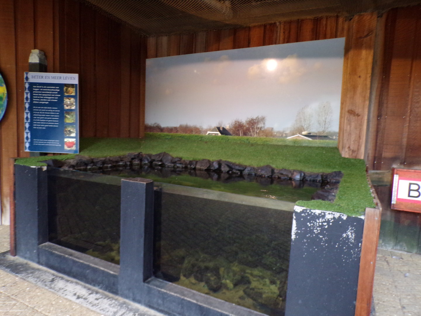 Oceanium- Strange empty tank 13.7.23