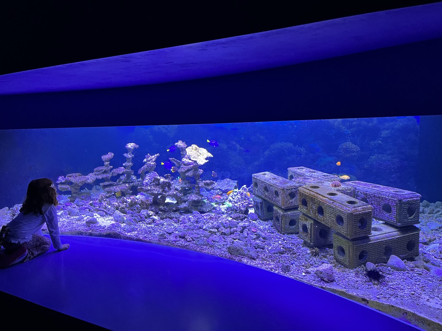 Oceanium- Tank example 13.7.23