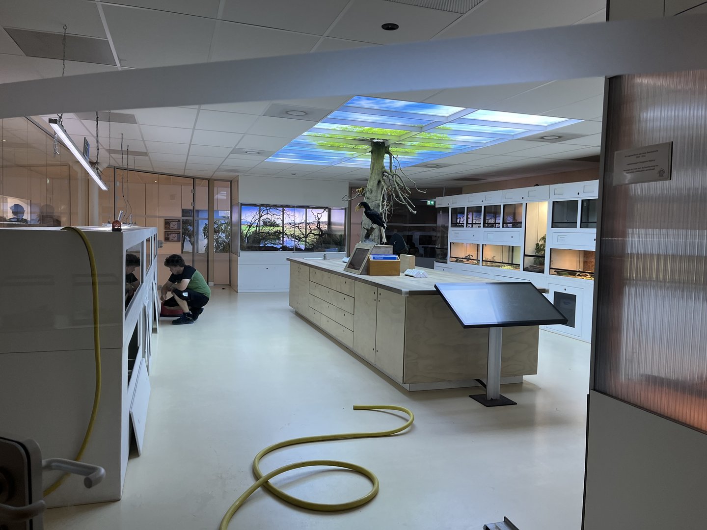 Oceanium- Terrarium area 13.7.23