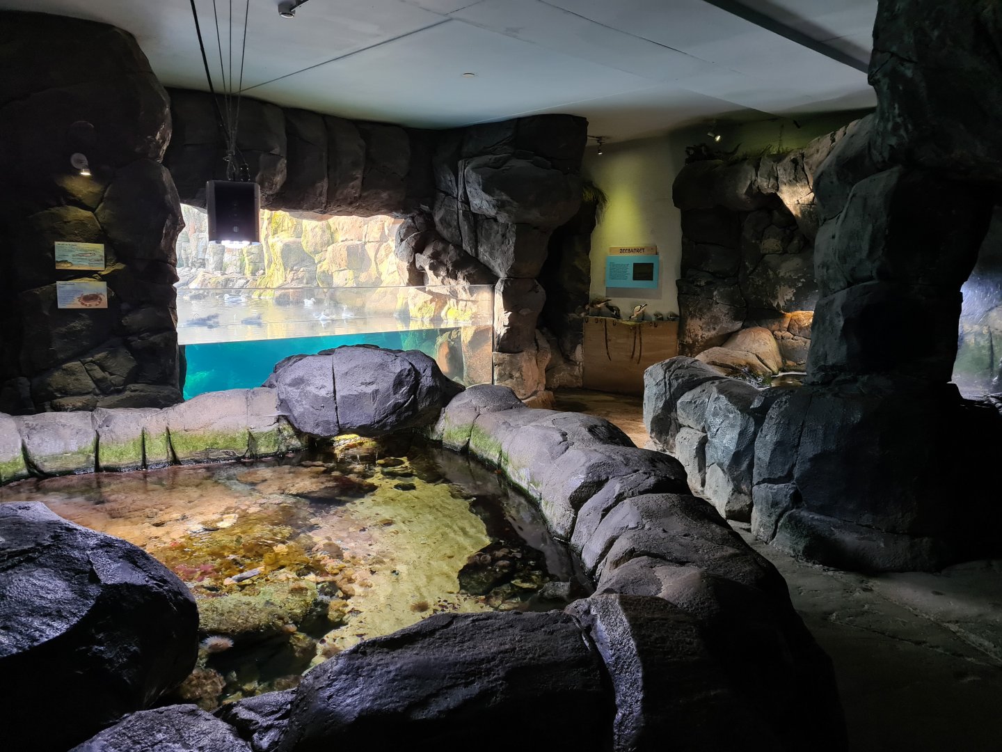 Oceanium - Tide pool area
