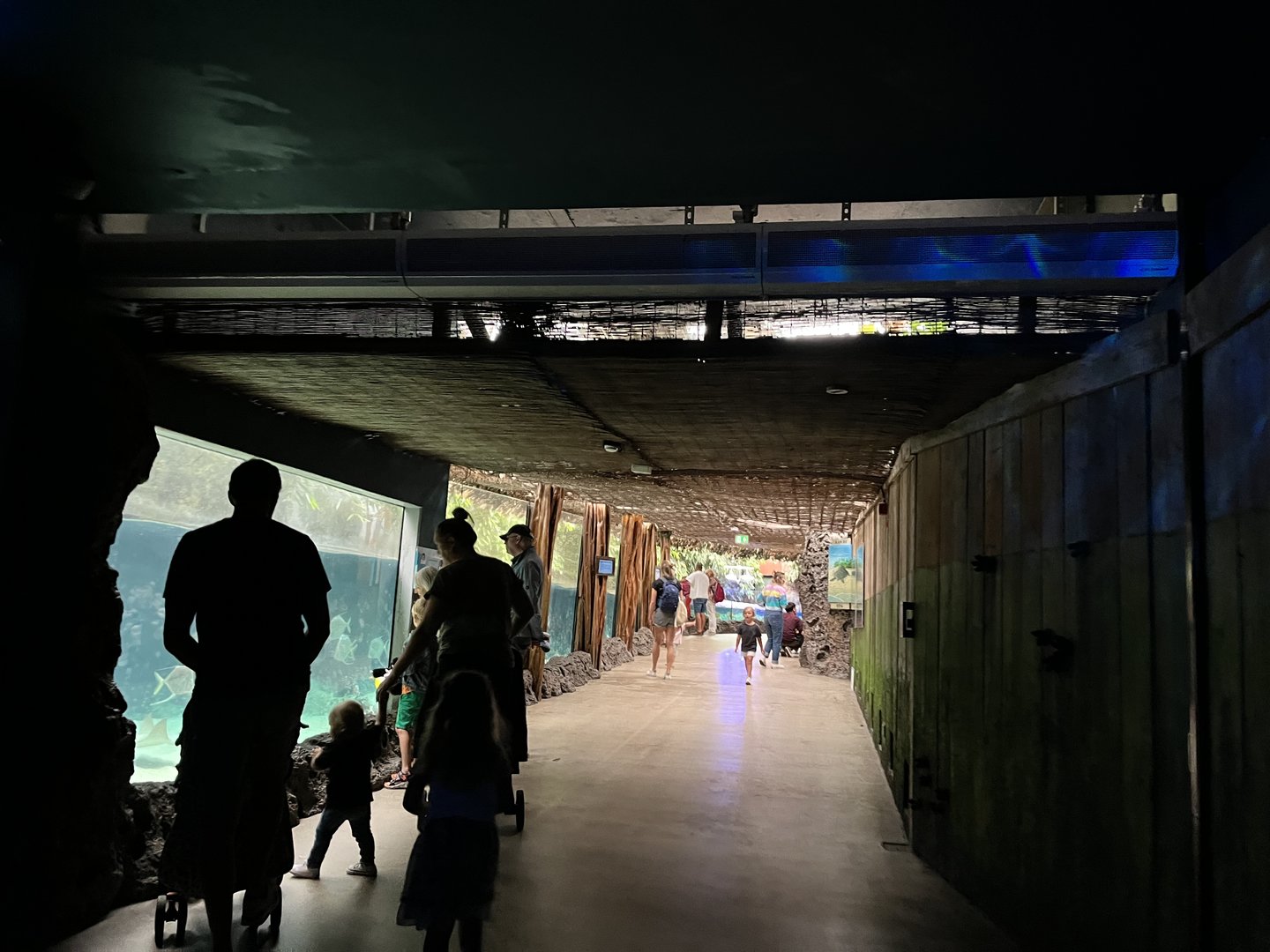 Oceanium- view coming into tropical area 13.7.23