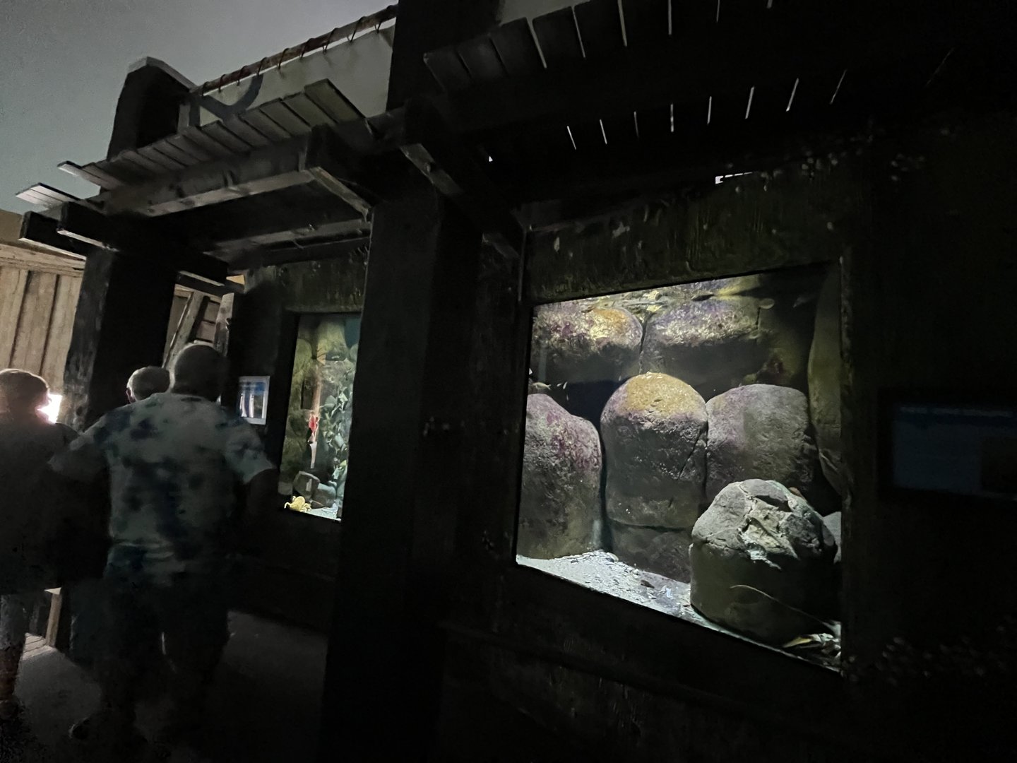 Oceanium- View of tanks 13.7.23