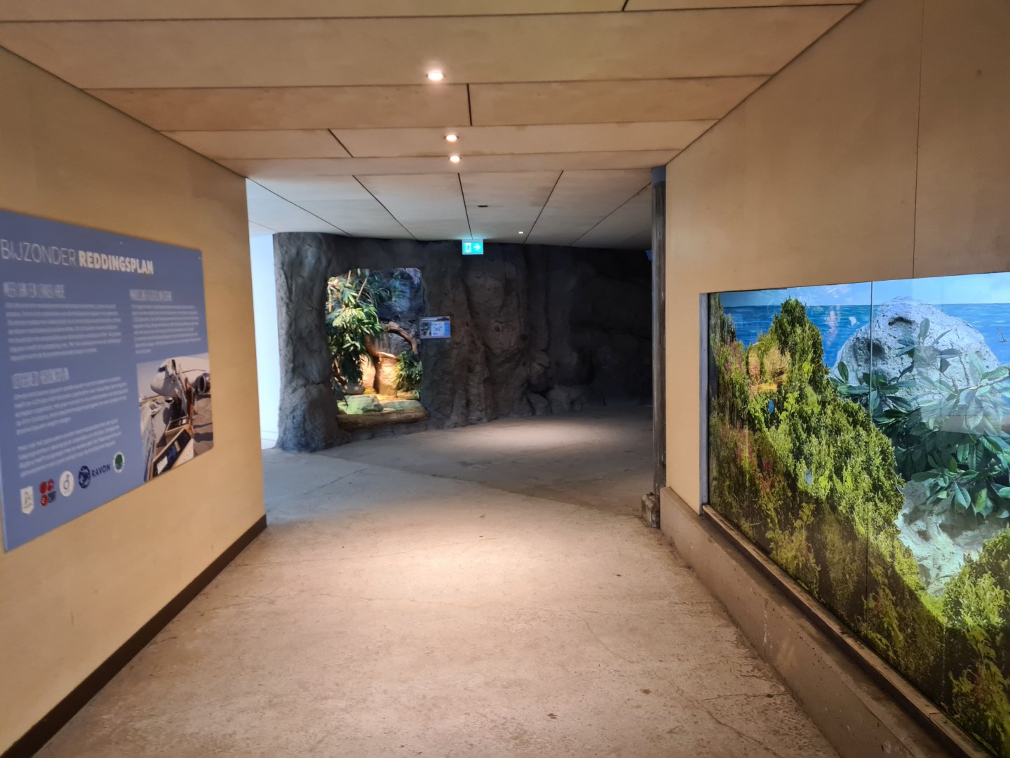 Oceanium - Walkway in Conservation centre