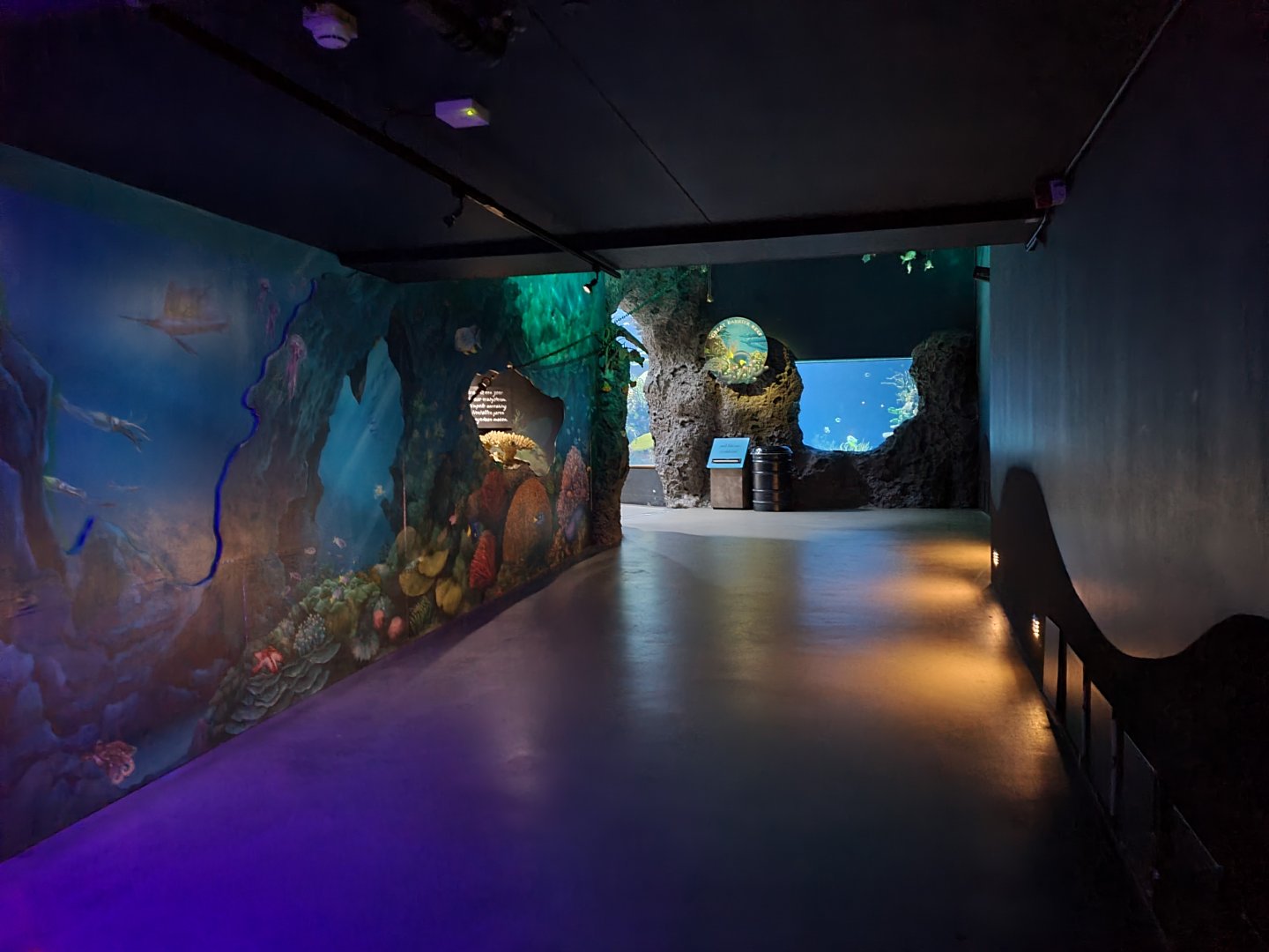 Oceanium - Walkway towards Great Barrier reef tunnel