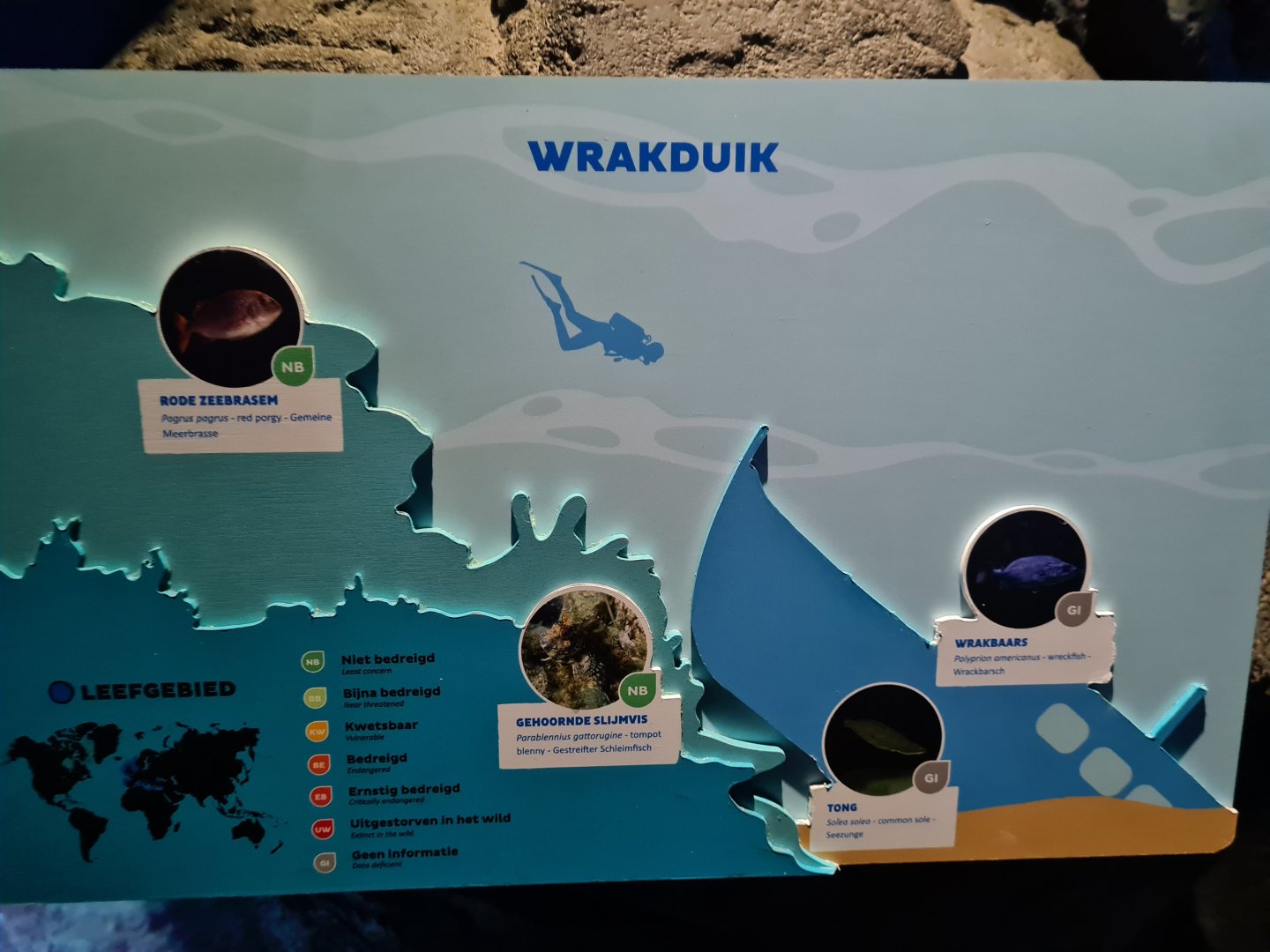 Oceanium - Wreck dive aquarium signage