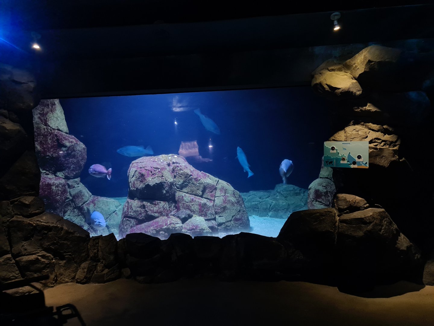 Oceanium - Wreck dive aquarium