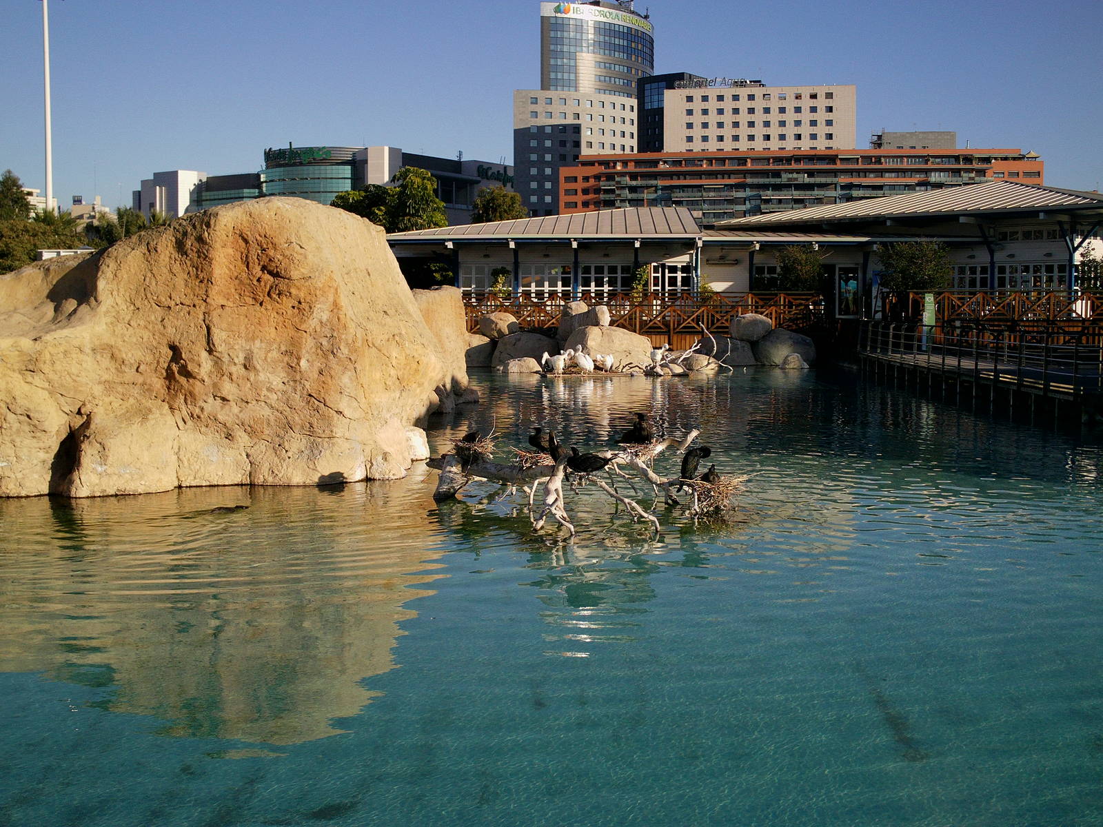 Oceanographic Valencia: circa 2013