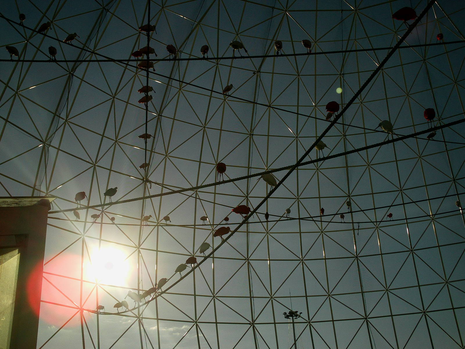 Oceanographic Valencia: circa 2013