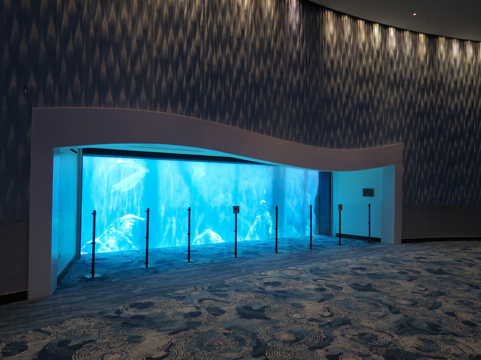 Oceans Ballroom - Beluga Exhibit Viewing Window