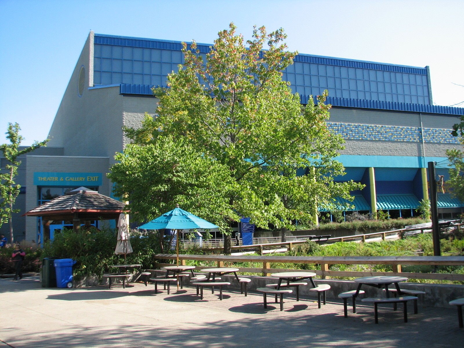 Oceans - Dolphin Building