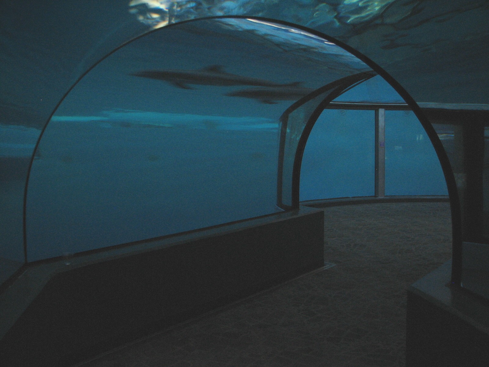 Oceans - Dolphin Dome