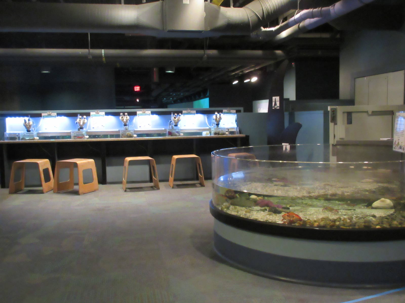 Ocean's Heartbeat Gallery (with row of microscopes)