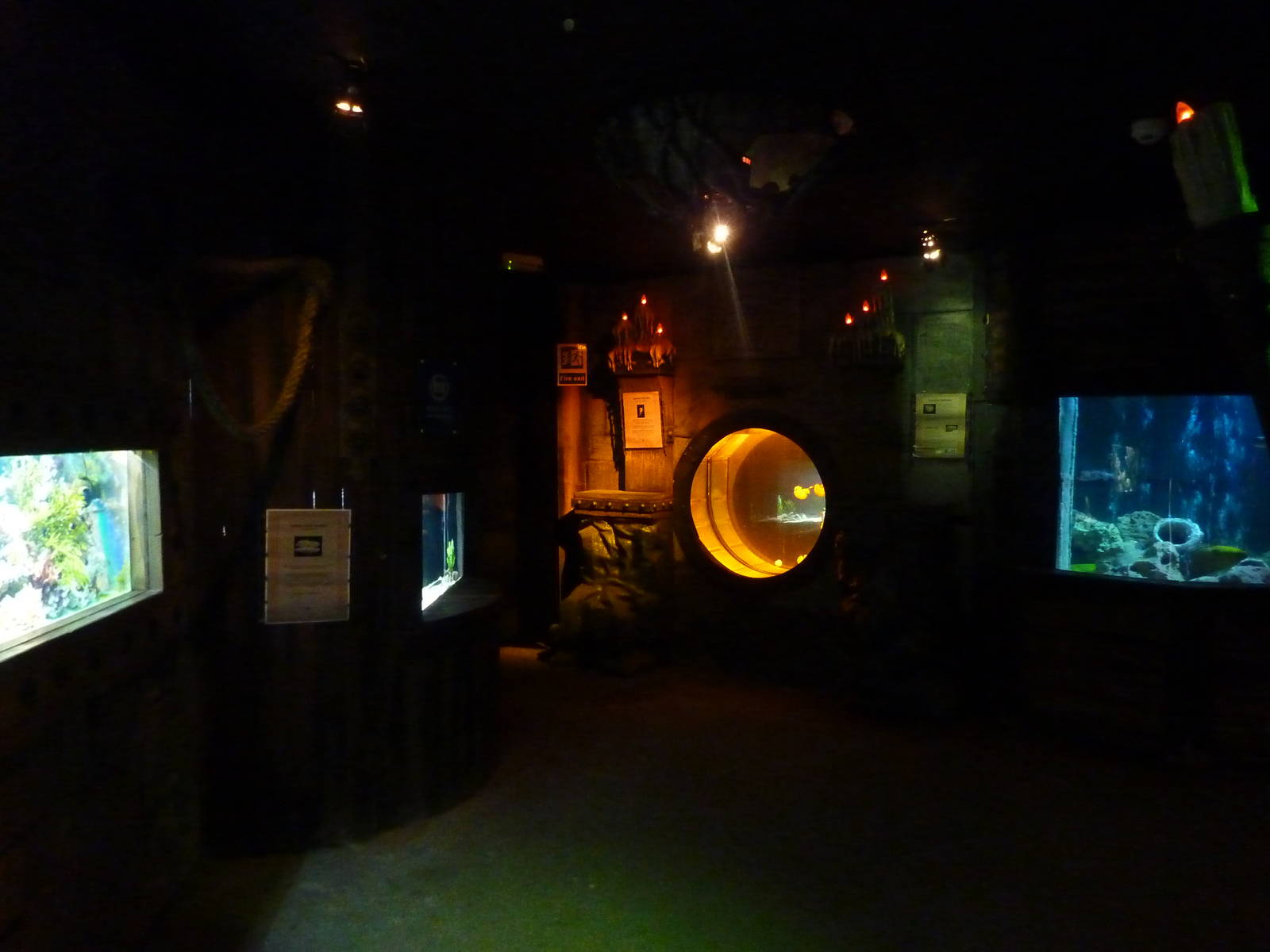 Oceans of the world displays, 8th Feb 2012