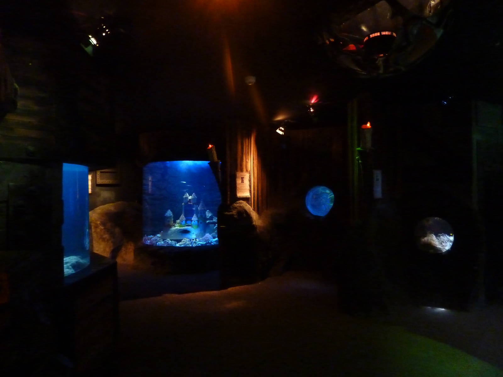 Oceans of the world displays, 8th Feb 2012