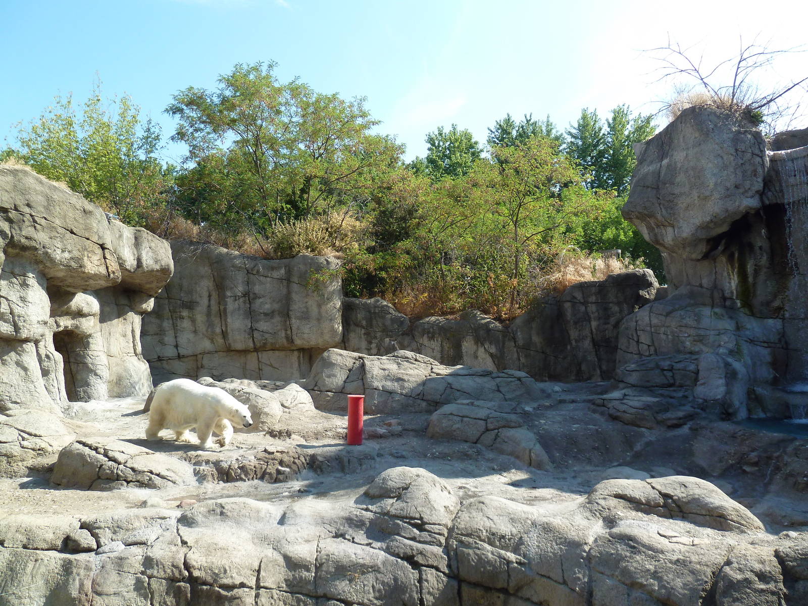 Oceans - Polar Bear Exhibit
