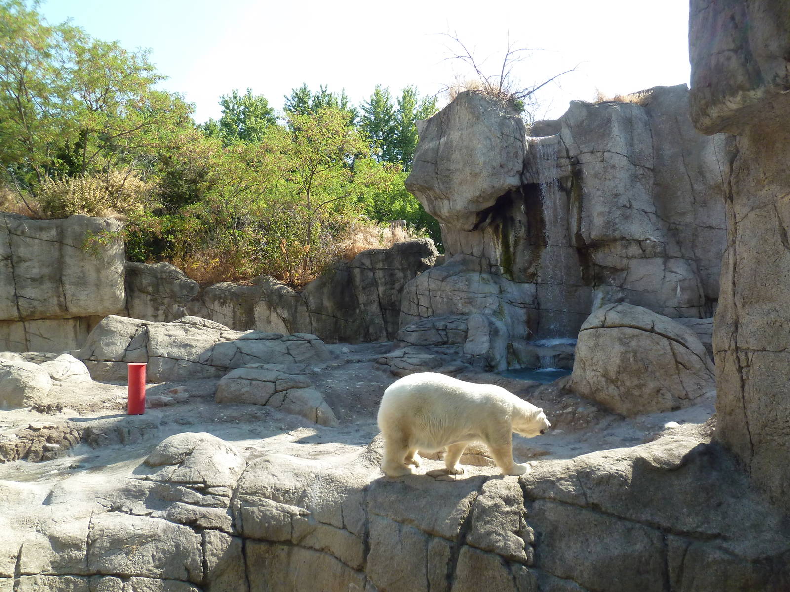 Oceans - Polar Bear Exhibit