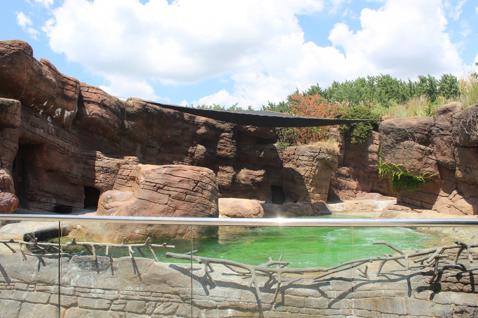 Oceans - Sea Lion & Gray Seal Exhibit