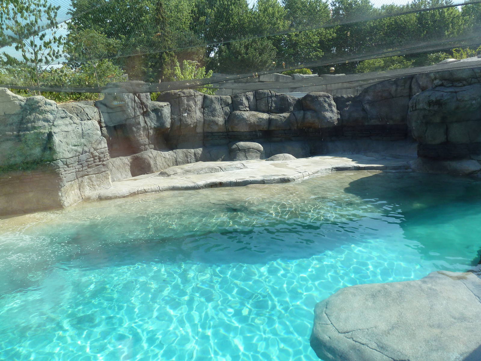 Oceans - Walrus/California Sea Lion Exhibit