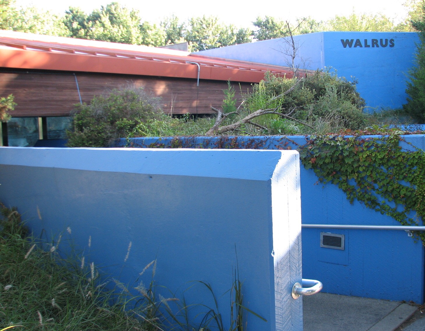 Oceans - Walrus Exhibit Entry