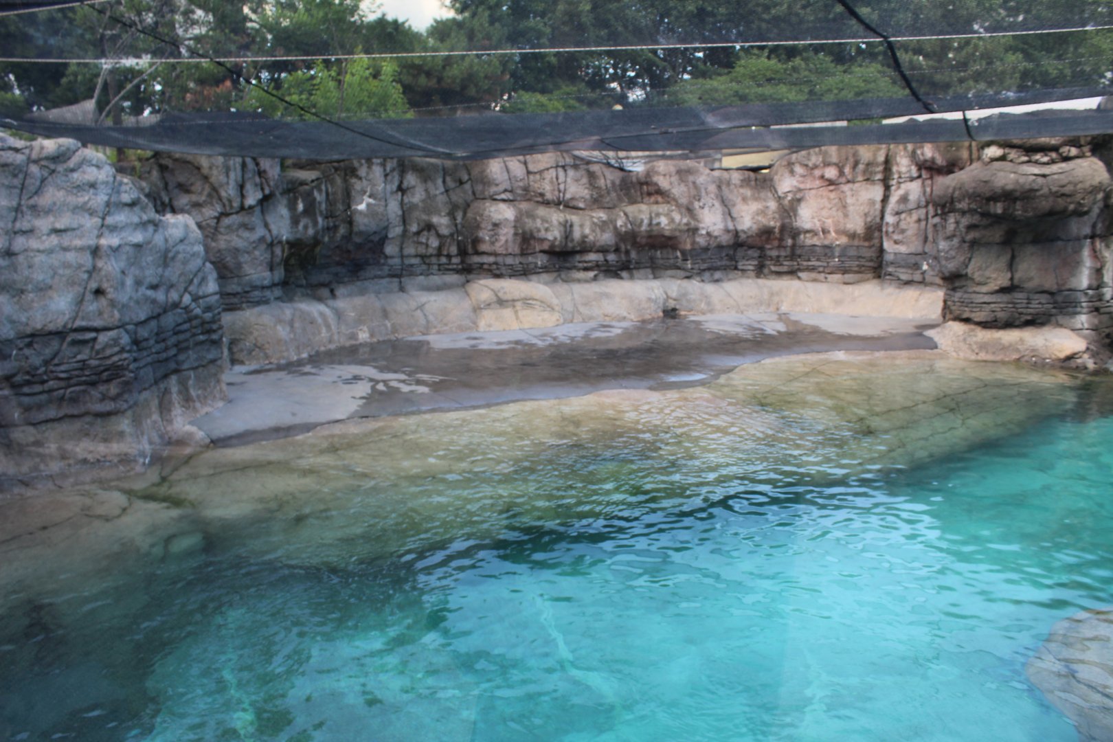 Oceans - Walrus Exhibit