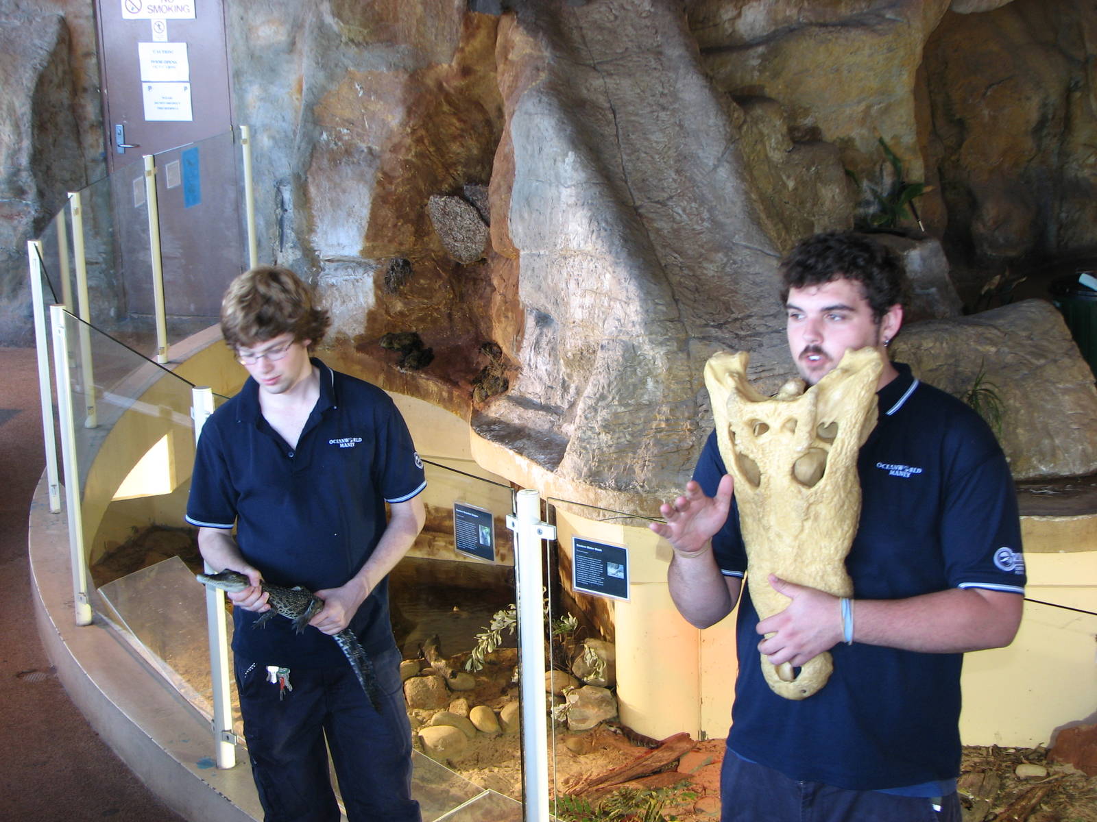 Oceanworld Manly - Crocodile demonstration