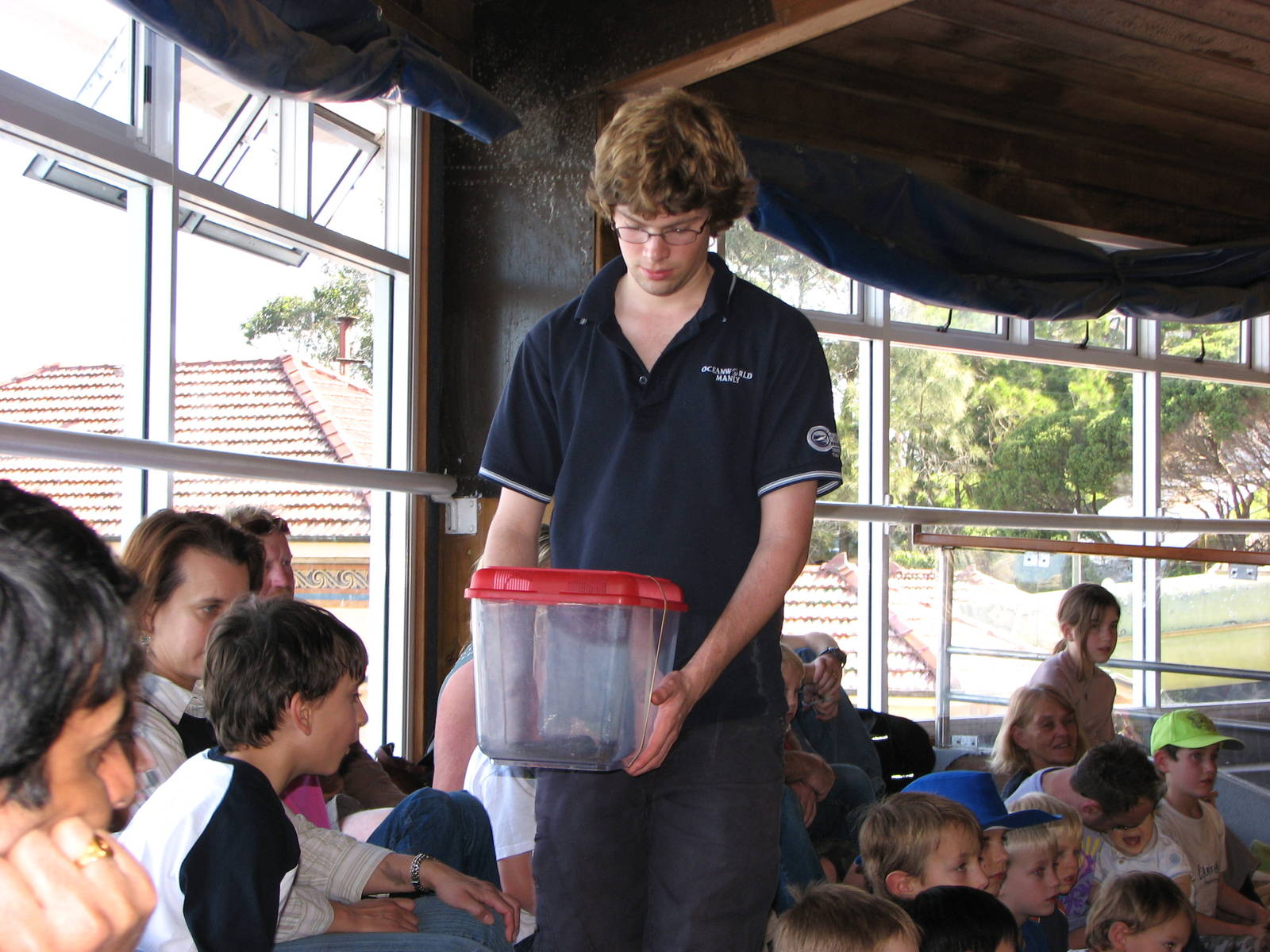 Oceanworld Manly - Keeper shows an Inland Taipan to visitors
